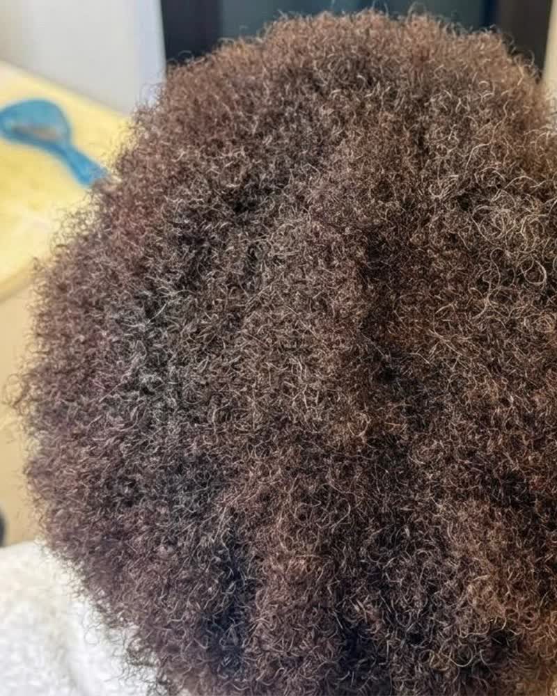 After — Crown thinning filled in with zero-chemical care